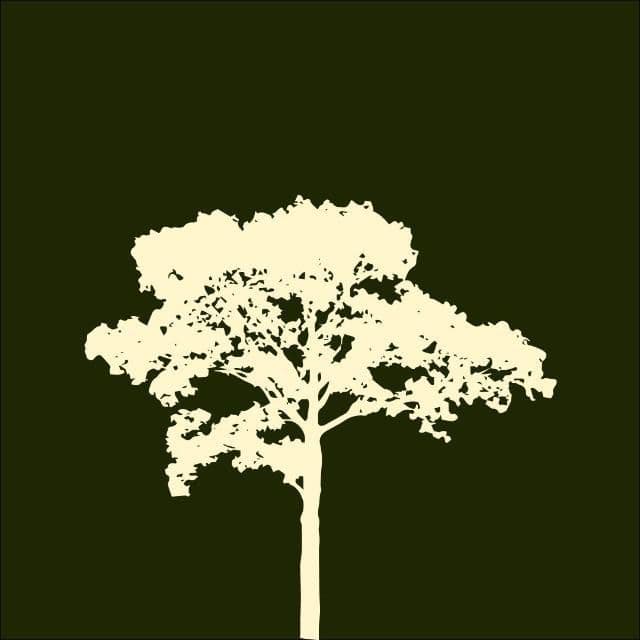 Jocum Porto Velho