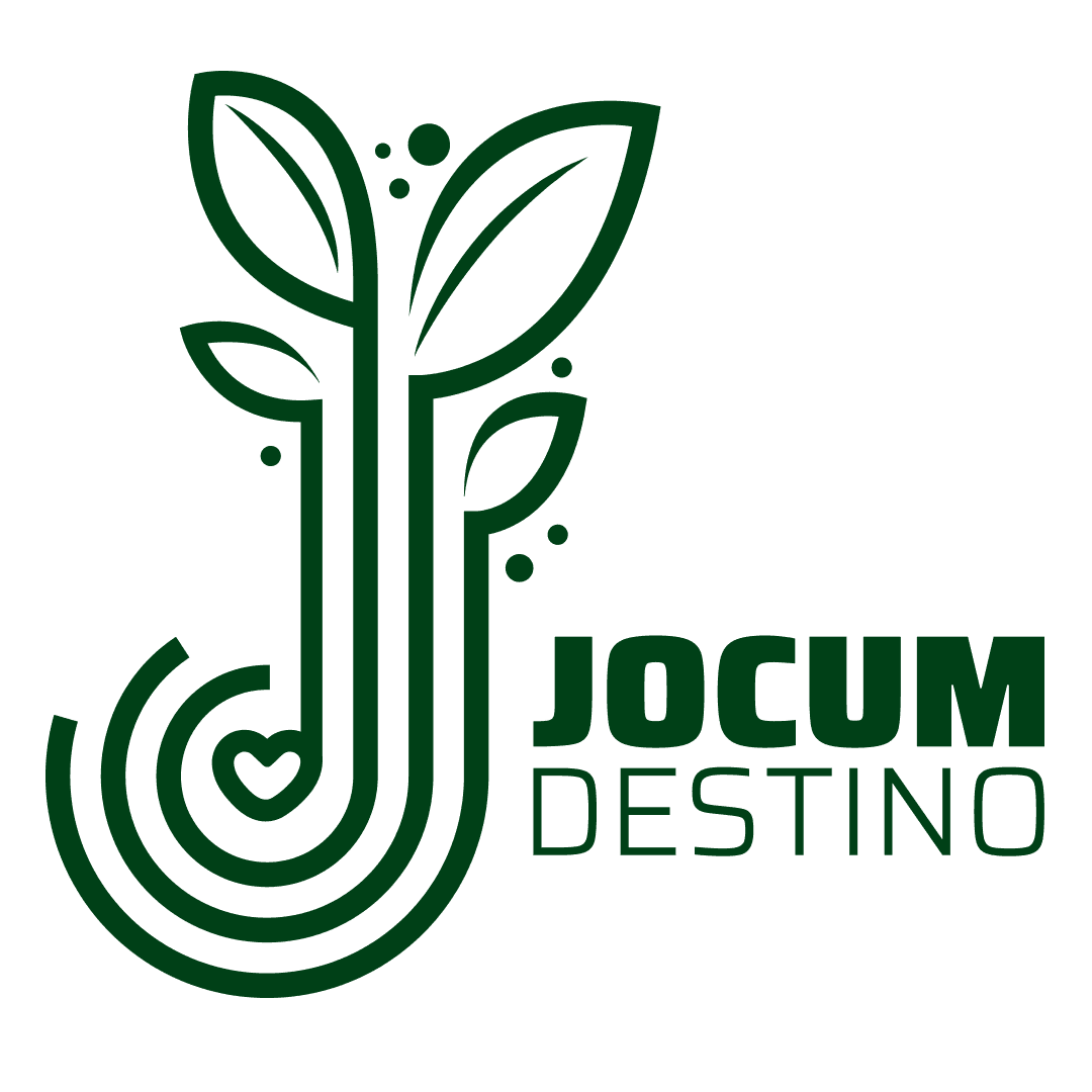 Jocum Destino | Bahia
